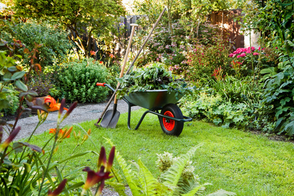 ¿Cuánto cuesta un presupuesto de jardinería?