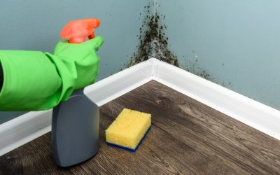 Cómo eliminar el moho de las paredes